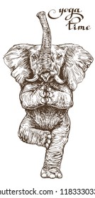 An elephant doing yoga stands in a lotus pose with a funny illustration in vector engraving style.