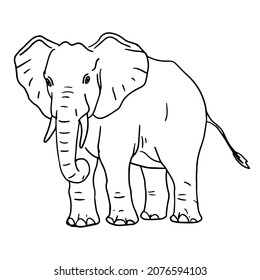 Elephant in doodle style. Isolated vector.