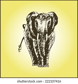 Elephant drawing illustration