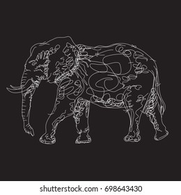 Elephant drawing illustration, tee shirt graphics, vectors