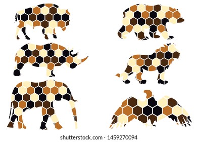 Elephant, eagle, bear, Rhino, lion, bison. Six animals in colored honeycombs