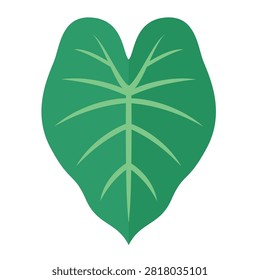 Elephant Ear Leaf Flat Vector Clipart Logo Icon