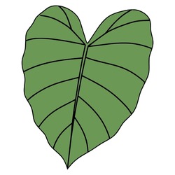 Elephant ears plant | Free SVG