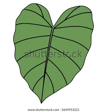 elephant ear leaf plant flower nature flora flat color vector illustration template design