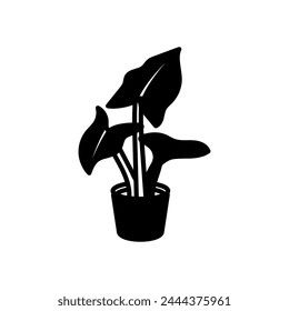 Elephant Ear Plant icon in vector. Logotype