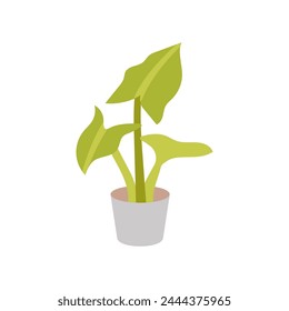 Elephant Ear Plant icon in vector. Logotype