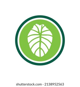 Elephant ear plant logo icon  alocasia leaf symbol