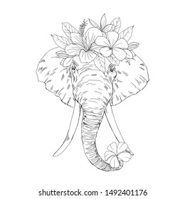 Elephant face with wreath hand drawn sketch. Huge African animal with Plumeria flower in trunk black ink illustration. Safari mammal with tusks engraving, greeting card design element