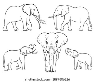 Elephant family. Set of elephants. Linear vector. Vector illustration on white background