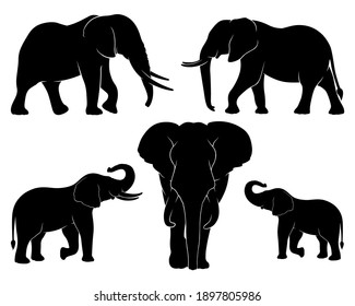 Elephant family. Set of silhouettes of elephants. Vector illustration on white background