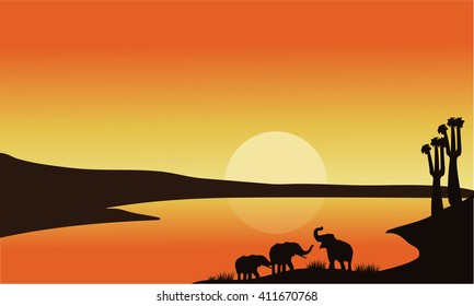 Elephant family of silhouette at the sunrise