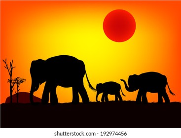 Elephant family at sunset. Vector.