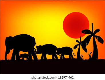 Elephant family at sunset. Vector.