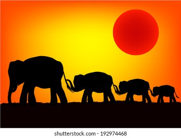 Elephant family at sunset. Vector.