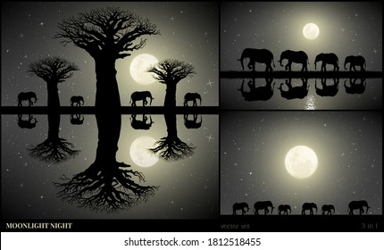 Elephant Family Walking Between Baobab Trees On Moonlight Night. Landscape With Big Animals On River Bank In Savannah. Full Moon In Starry Sky. Black And White Vector Illustration Set