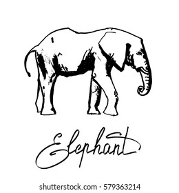 the elephant figure, animal vector