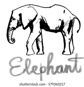 the elephant figure, animal vector