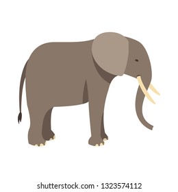 elephant flat icon.You can be used elephant icon for several purposes like: websites, UI, UX, print templates, presentation templates, promotional materials, web and mobile phone apps