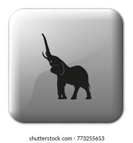 Elephant flat vector icon. Animal illustration.