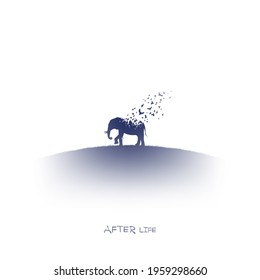 Elephant and flying birds. Endangered animal. Isolated ink element
