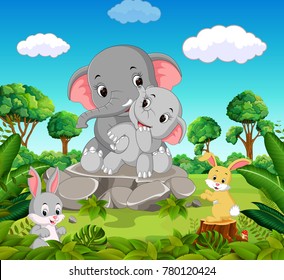 Elephant in the forest
