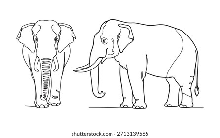 Elephant Front and Side View Line Drawing animal wildlife