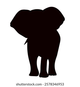 elephant front view black silhouette vector