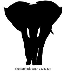 Elephant frontal silhouette