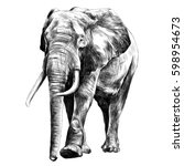 elephant in full growth, moving forward, sketch graphics vector black and white drawing