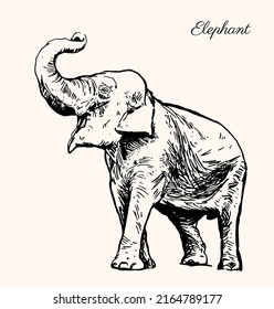 elephant in full growth is in the sand, the dry branch grows, sketch vector graphics monochrome drawing