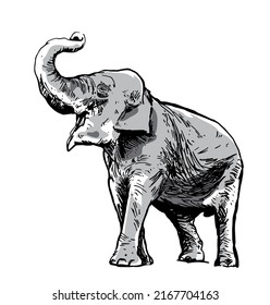 elephant in full growth is in the sand, the dry branch grows, sketch vector graphics monochrome drawing for animal book.