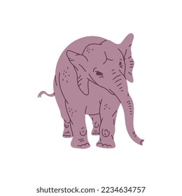 Elephant full length standing african animal, flat vector illustration isolated on white background. Elephant hand drawn character for prints and decoration.