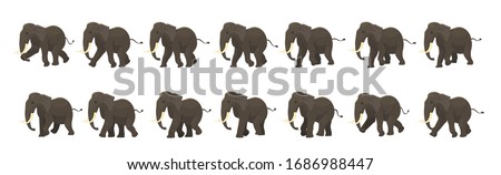 Elephant gait animation. Sprites or footage for motion design. 2d animated character in the cartoon style.