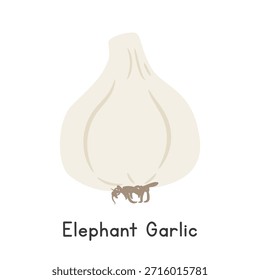 Elephant Garlic Flat Cartoon Vector Illustration Isolated on White Background