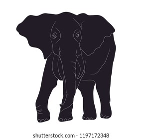 elephant goes drawing silhouette, vector, white background
