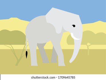 The elephant goes through the landscape