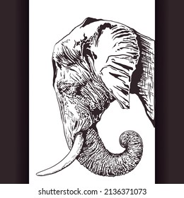 Elephant. Graphic drawing. Vector illustration.