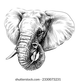 Elephant. Graphic portrait of an African elephant in sketch style.  Digital vector graphics.