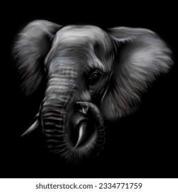 Elephant. Graphic portrait of an African elephant in sketch style on a black background.  Digital vector graphics.