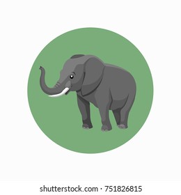 Elephant, green background icon vector illustration.