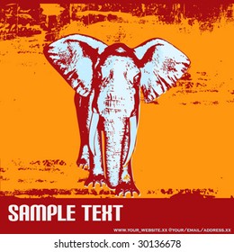 Elephant Grunge Background