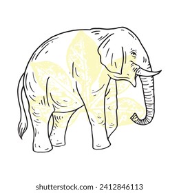 vector de ilustración elefante