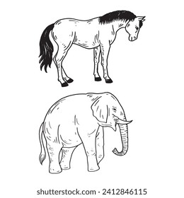 elephant hand drawing illustration vector