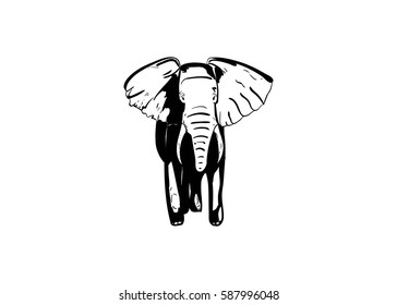 Elephant. Hand drawing sketch