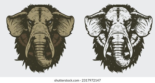 Elephant  Hand drawn drawing eps10