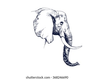 elephant hand drawn illustration