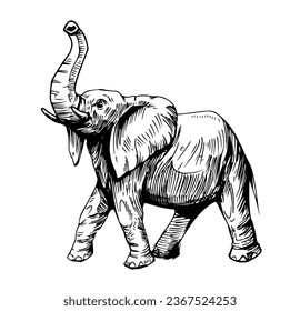 Elephant hand drawn sketch. Vector illustration. Black outline isolated on white background