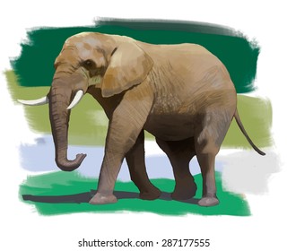 Elephant hand drawn vector colorful illustration 