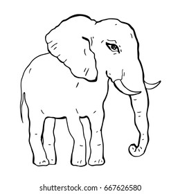 Elephant. Hand drawn Vector illustration