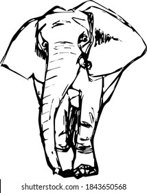 Elephant hand-drawn black and white outline vector